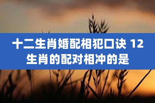 十二生肖婚配相犯口诀 12生肖的配对相冲的是