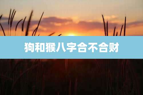 狗和猴八字合不合财