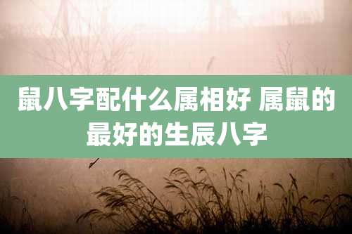 鼠八字配什么属相好 属鼠的最好的生辰八字
