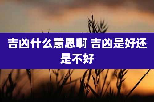 吉凶什么意思啊 吉凶是好还是不好