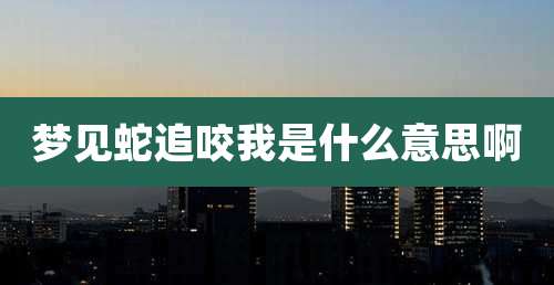 梦见蛇追咬我是什么意思啊