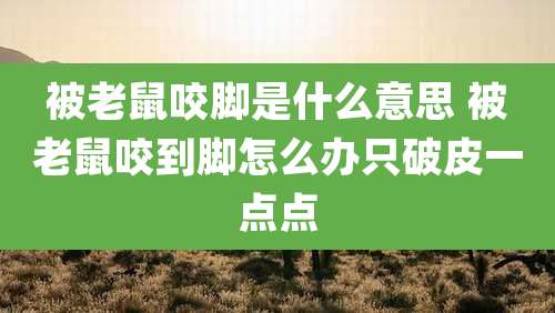 被老鼠咬脚是什么意思 被老鼠咬到脚怎么办只破皮一点点