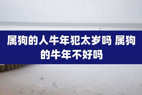 属狗的人牛年犯太岁吗 属狗的牛年不好吗