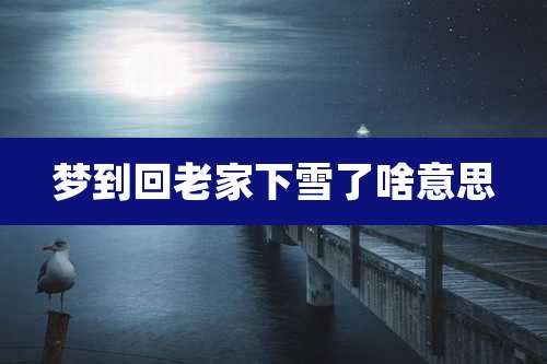 梦到回老家下雪了啥意思