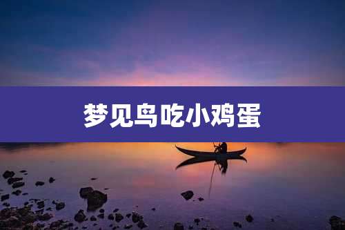 梦见鸟吃小鸡蛋