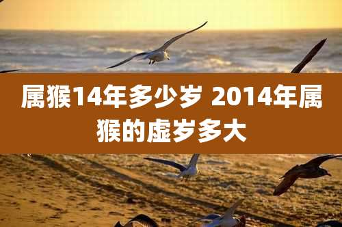 属猴14年多少岁 2014年属猴的虚岁多大