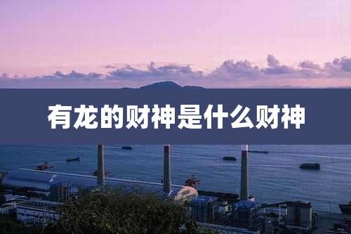 有龙的财神是什么财神
