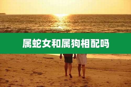 属蛇女和属狗相配吗