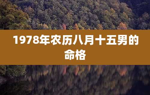 1978年农历八月十五男的命格