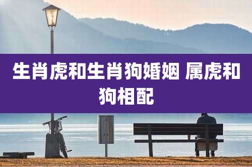 生肖虎和生肖狗婚姻 属虎和狗相配