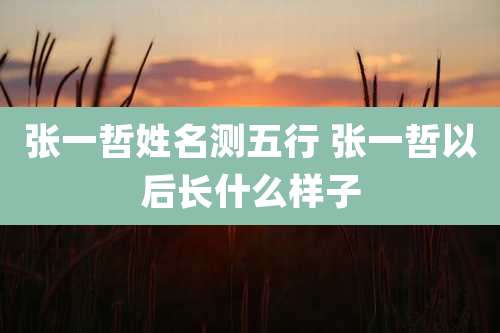 张一哲姓名测五行 张一哲以后长什么样子