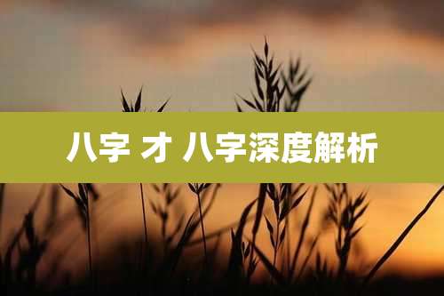 八字 才 八字深度解析