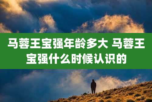 马蓉王宝强年龄多大 马蓉王宝强什么时候认识的