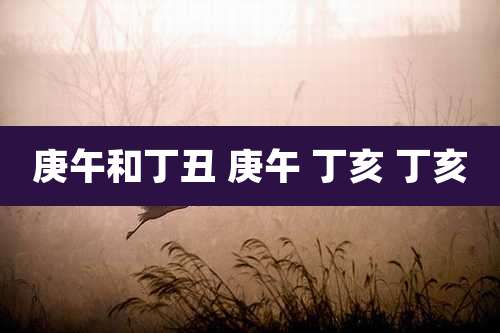 庚午和丁丑 庚午 丁亥 丁亥