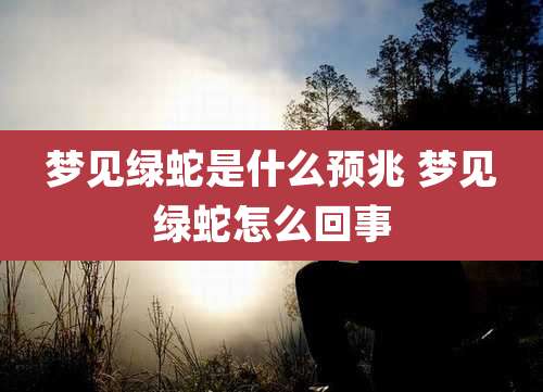 梦见绿蛇是什么预兆 梦见绿蛇怎么回事