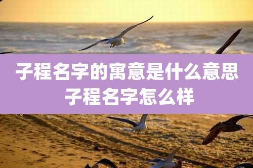 子程名字的寓意是什么意思 子程名字怎么样