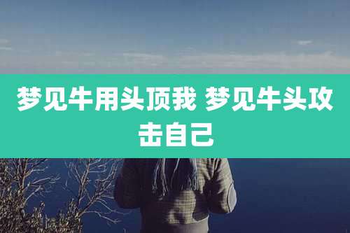 梦见牛用头顶我 梦见牛头攻击自己