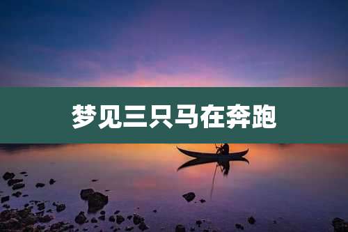 梦见三只马在奔跑
