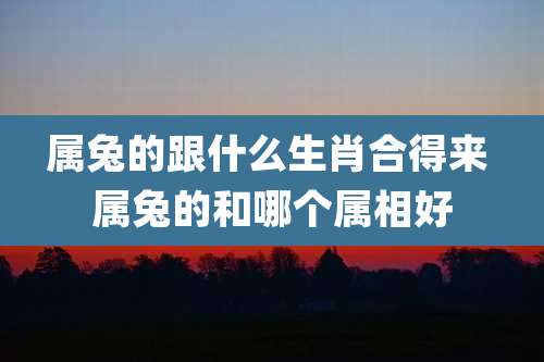 属兔的跟什么生肖合得来 属兔的和哪个属相好