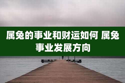 属兔的事业和财运如何 属兔事业发展方向