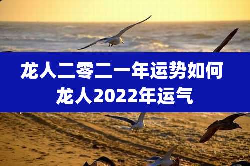 龙人二零二一年运势如何 龙人2022年运气