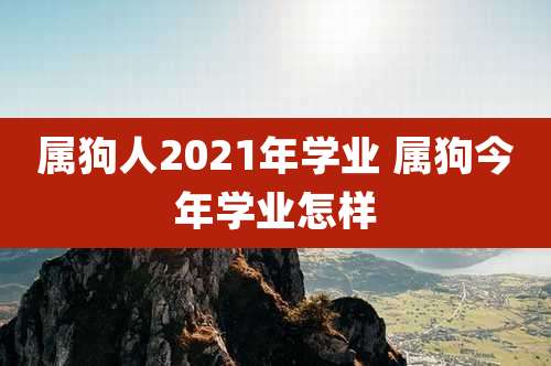 属狗人2021年学业 属狗今年学业怎样