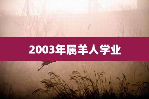 2003年属羊人学业