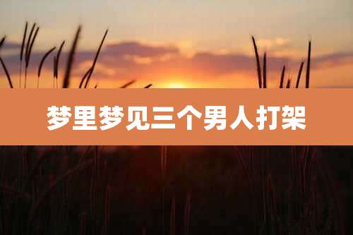梦里梦见三个男人打架