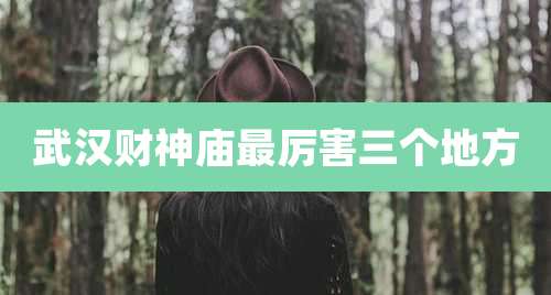 武汉财神庙最厉害三个地方