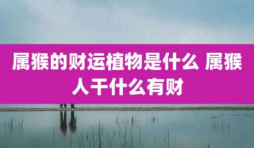 属猴的财运植物是什么 属猴人干什么有财