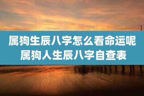 属狗生辰八字怎么看命运呢 属狗人生辰八字自查表