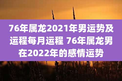 76年属龙2021年男运势及运程每月运程 76年属龙男在2022年的感情运势