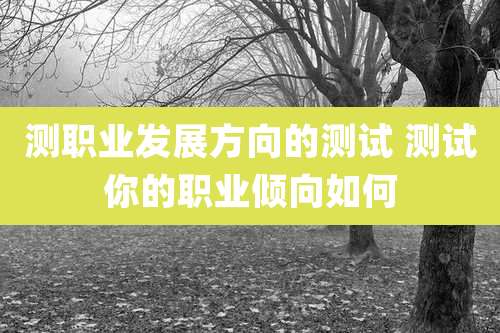 测职业发展方向的测试 测试你的职业倾向如何