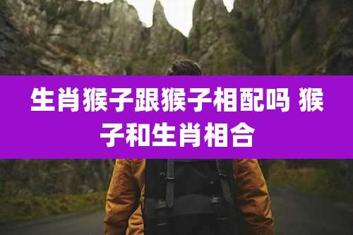 生肖猴子跟猴子相配吗 猴子和生肖相合