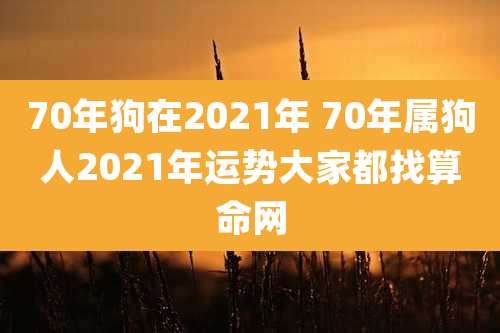 70年狗在2021年 70年属狗人2021年运势大家都找算命网