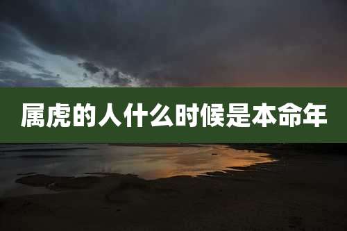 属虎的人什么时候是本命年