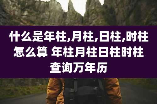 什么是年柱,月柱,日柱,时柱怎么算 年柱月柱日柱时柱查询万年历