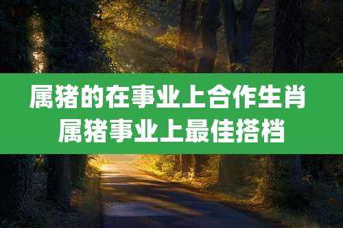 属猪的在事业上合作生肖 属猪事业上最佳搭档