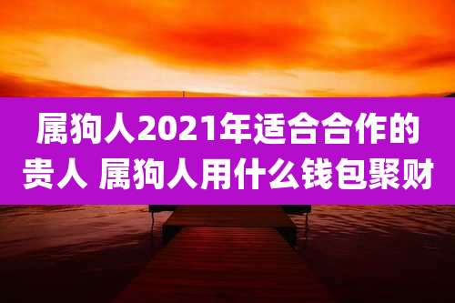 属狗人2021年适合合作的贵人 属狗人用什么钱包聚财