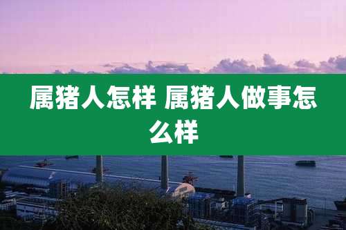 属猪人怎样 属猪人做事怎么样