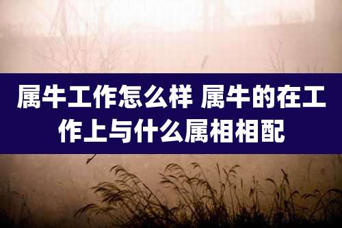 属牛工作怎么样 属牛的在工作上与什么属相相配