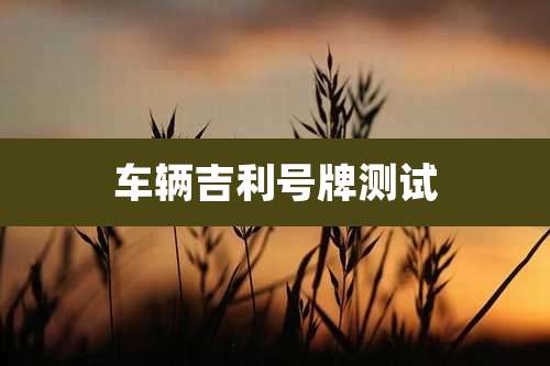 车辆吉利号牌测试