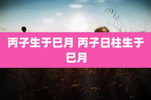 丙子生于巳月 丙子日柱生于巳月