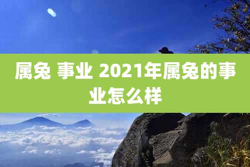 属兔 事业 2021年属兔的事业怎么样