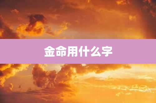 金命用什么字