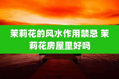 茉莉花的风水作用禁忌 茉莉花房屋里好吗