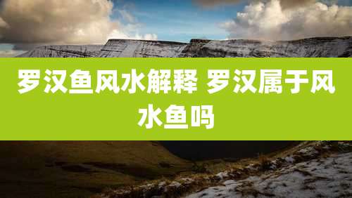 罗汉鱼风水解释 罗汉属于风水鱼吗