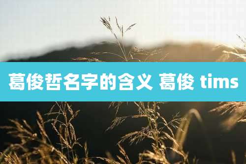 葛俊哲名字的含义 葛俊 tims