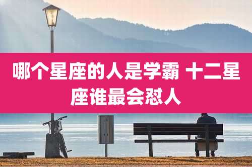哪个星座的人是学霸 十二星座谁最会怼人