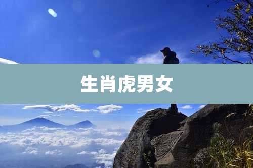 生肖虎男女